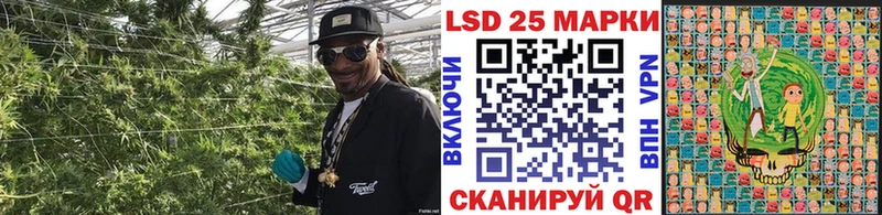 Наркотические марки 1500мкг  Купить  Сорочинск 