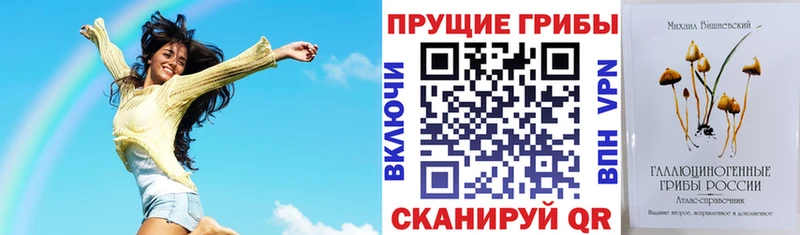 Купить  Сорочинск  Псилоцибиновые грибы прущие грибы 